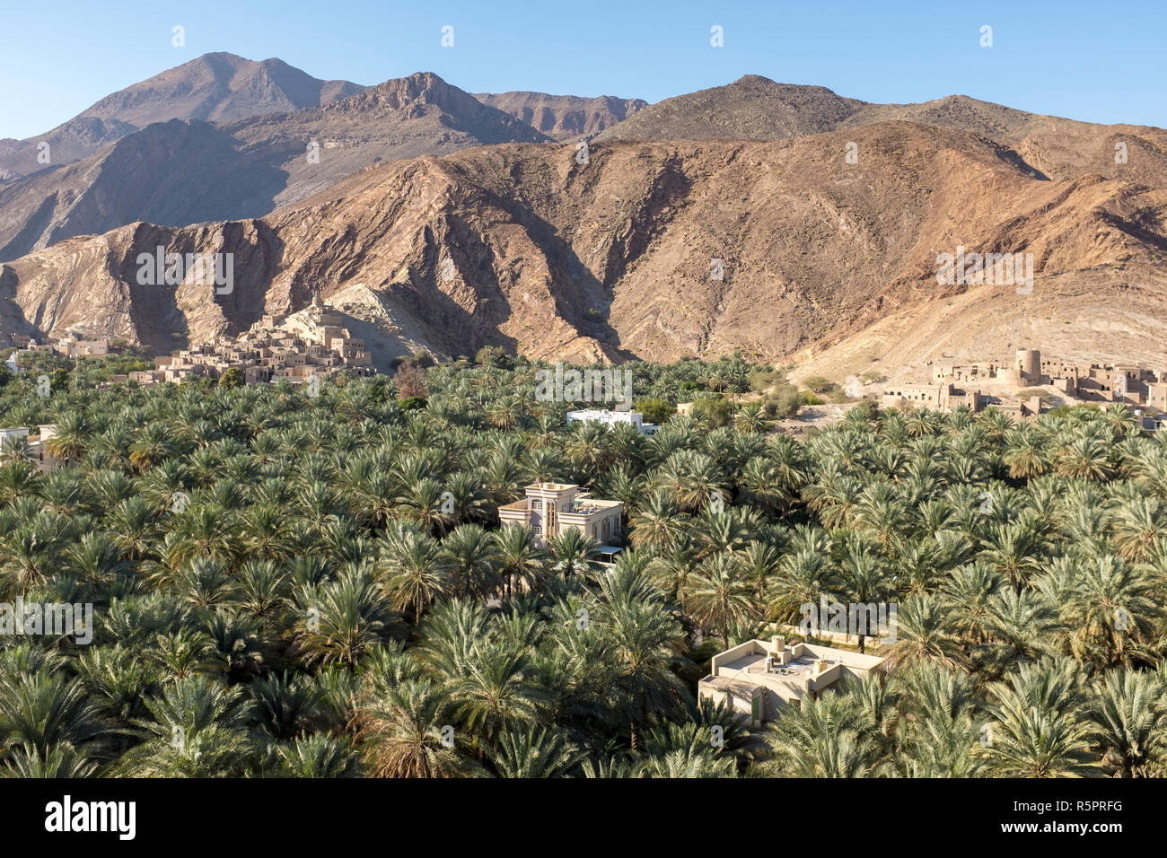 Il seicentesco borgo di Birkat Al Mawz circondato da data di piantagioni di palme, con case moderne in primo piano nel Sultanato di Oman Foto Stock