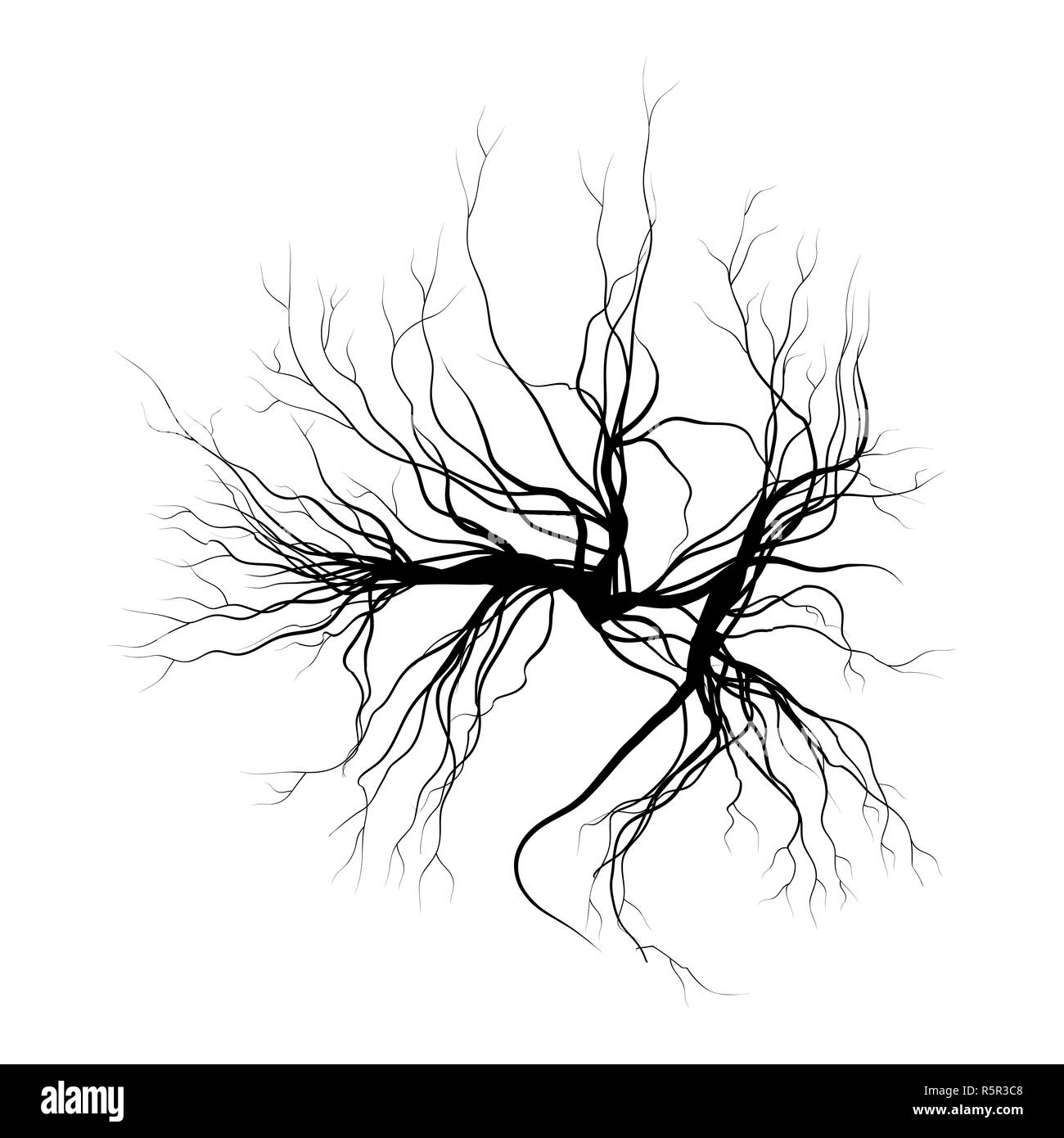 Vene umane, rosso vasi sanguigni design. Illustrazione di vettore isolato su sfondo bianco Foto Stock