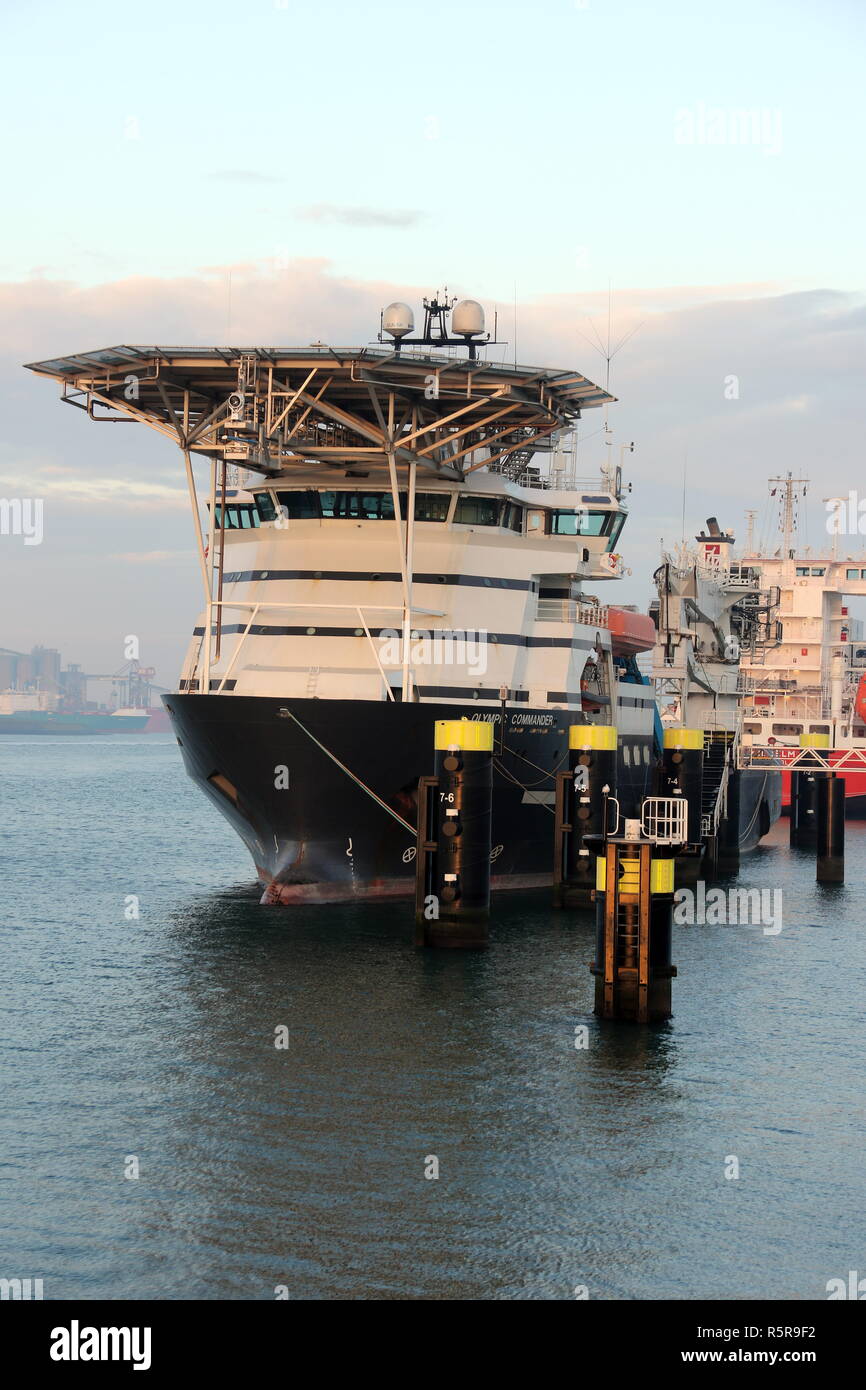 L'alimentazione offshore Nave Olympic Commander è il 23 novembre 2018 nel porto di Rotterdam. Foto Stock