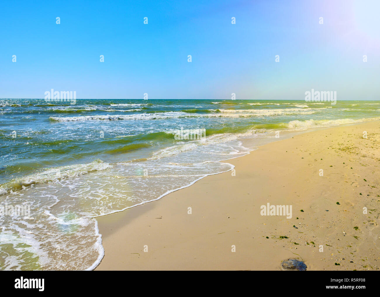 Vista da una spiaggia di sabbia sul Mare Nero in estate, Ucraina Foto Stock