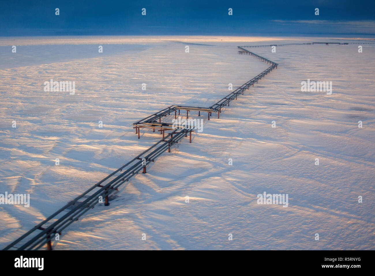 Una pipeline di elevata in funzione al di sopra del suolo e la tundra frozen da Endicott olio impianto di produzione per la Alyaska 1 pipeline in Prudhoe Foto Stock
