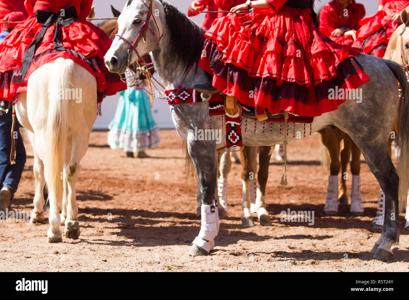 Gruppo di escaramuzas messicano a cavallo Foto Stock