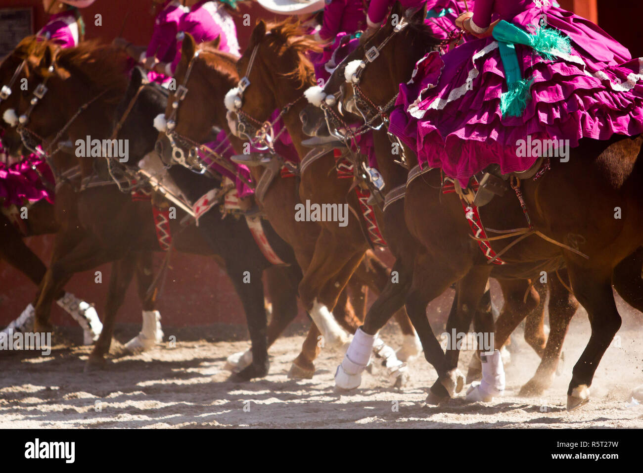 Gruppo di escaramuzas messicano donne andare a cavallo, cavallo al galoppo Foto Stock