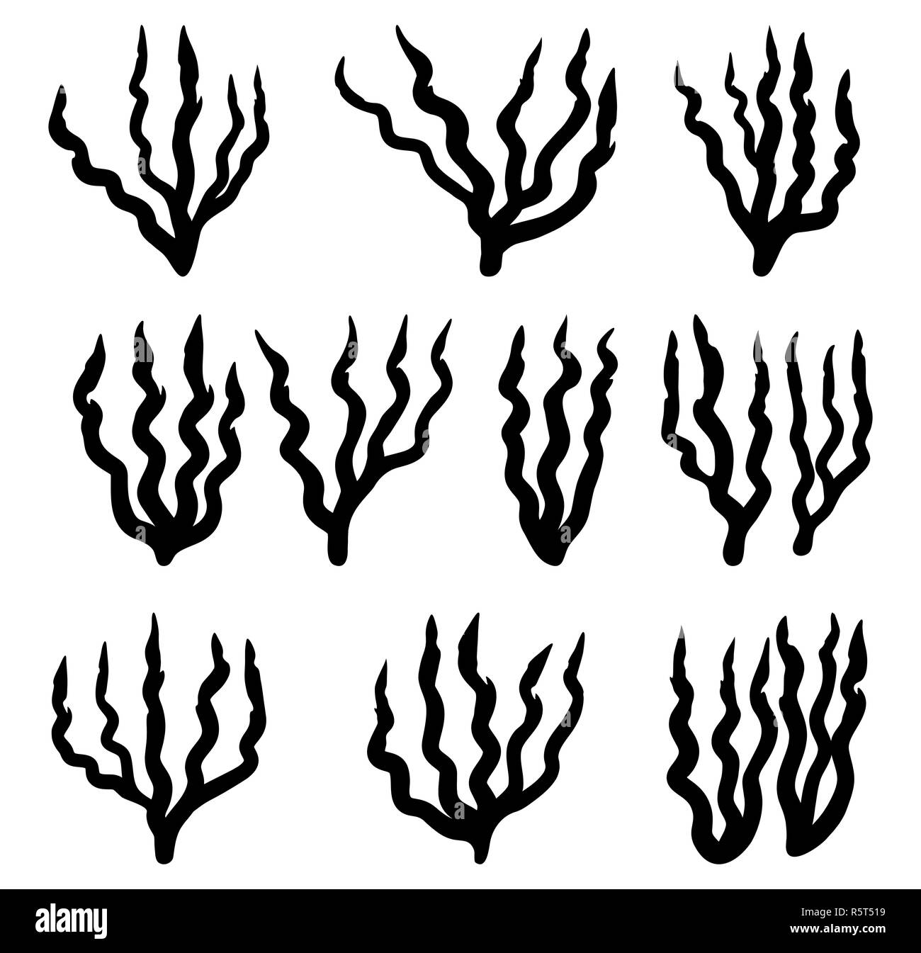 Alghe rosse silhouette vettore icona simbolo di design. Bella illustrazione isolati su sfondo bianco Foto Stock