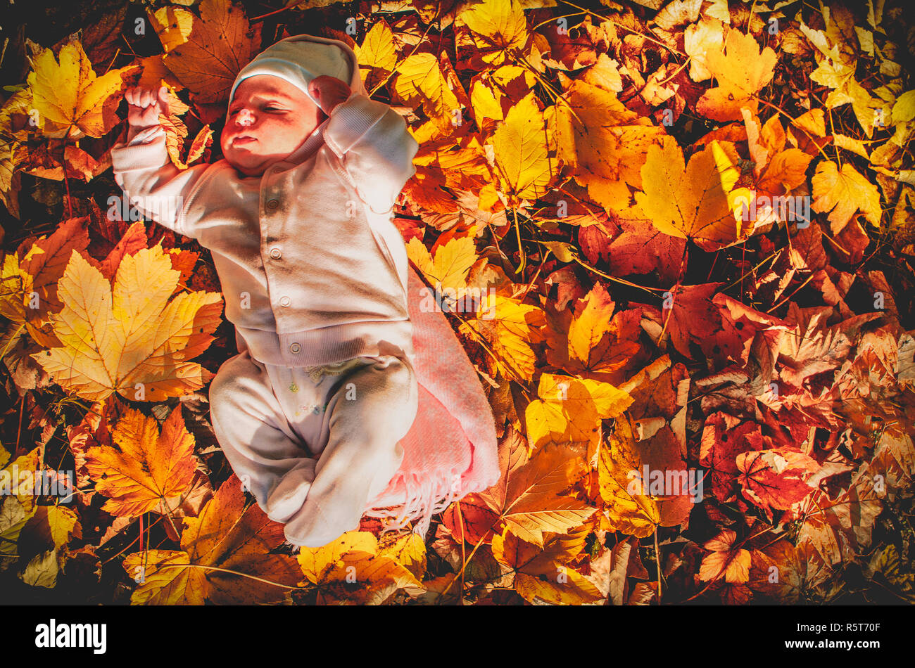 Baby girl autunno sfondo parco caduta delle foglie foresta caldo arancio Foto Stock