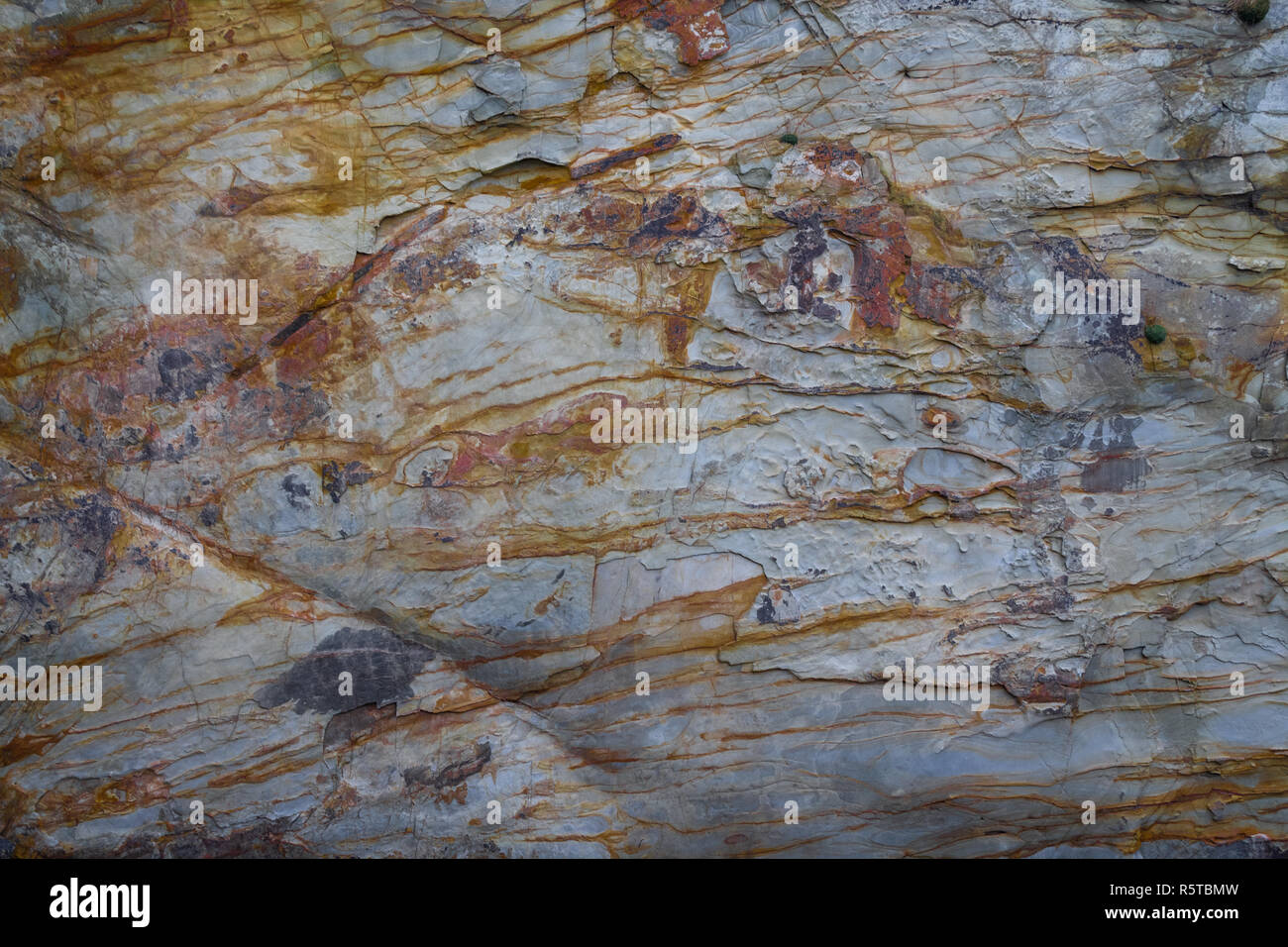 Ossido di ferro o colorazione minerale su un mudstone o argillite cliff sud della costa irlandese, insenatura di sabbia, castlehaven, West Cork, Irlanda. Foto Stock