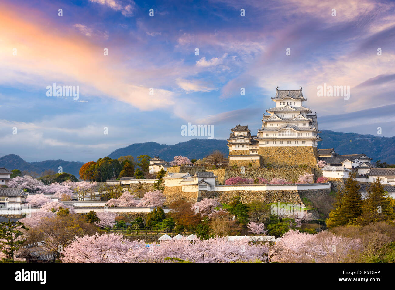 Himeji, Japan at Himeji Castle during spring cherry blossom season. Foto Stock