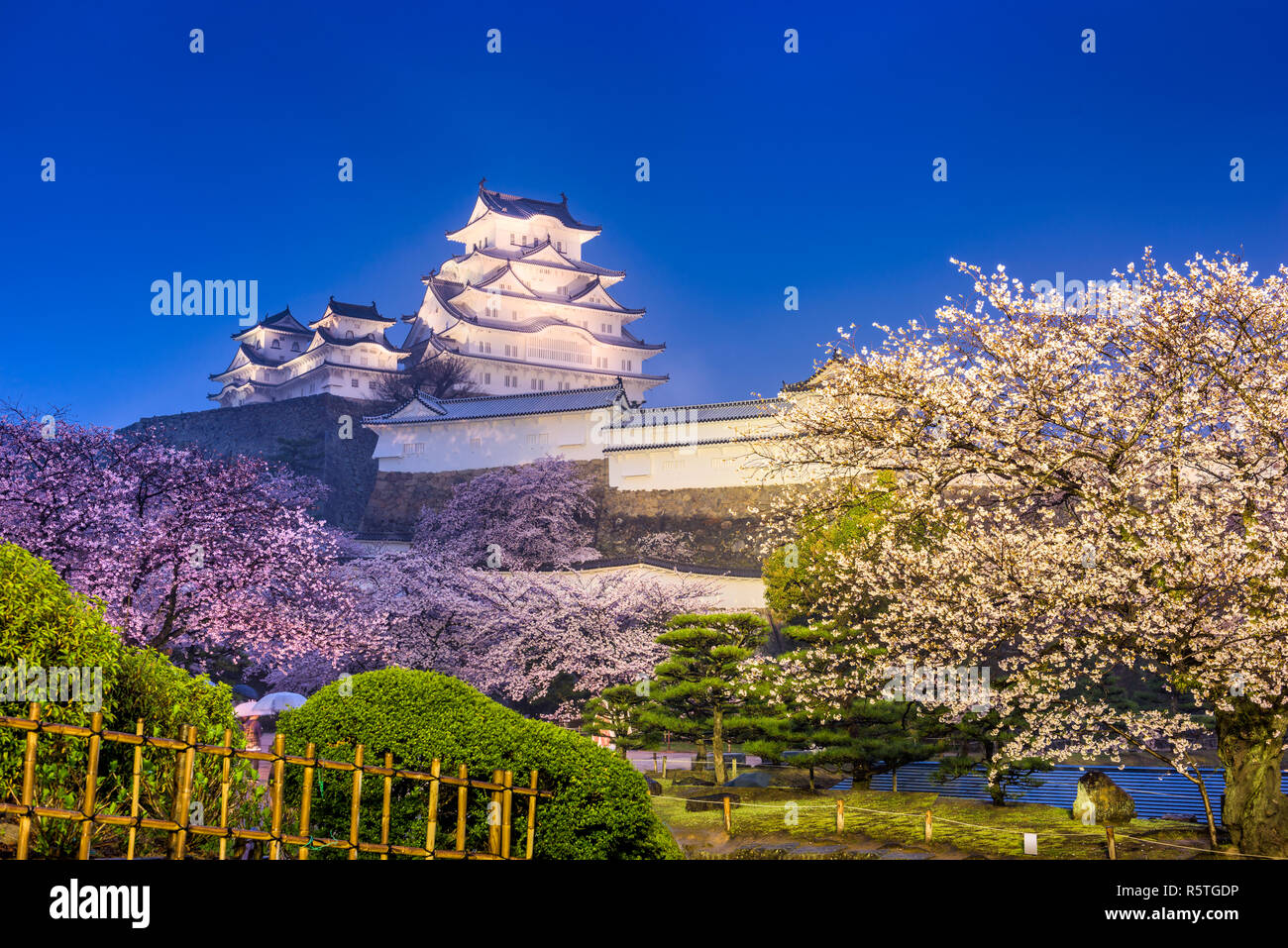 Himeji, Giappone presso il castello di Himeji nella stagione primaverile di notte. Foto Stock