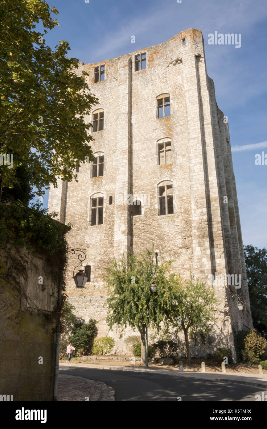 Beaugency, Valle della Loira, Francia, ville fleuri, resti del castello medievale, Tour de Cesar Foto Stock