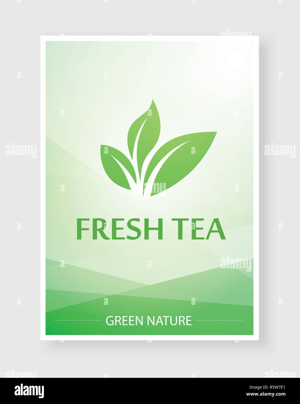 Menu creativo per il tè e bevande calde in natura il colore verde. Vector bellissimi menu per il ristorante o bar. Illustrazione Vettoriale