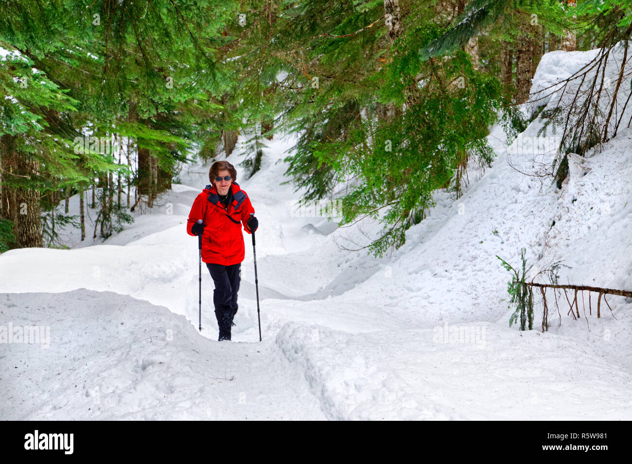 Donna 42,780.01123 escursionista escursionismo e divertimento che esercitano su di un ampio sentiero in inverno nevoso della foresta di conifere, Mount Hood National Forest, Oregon, Stati Uniti d'America Foto Stock