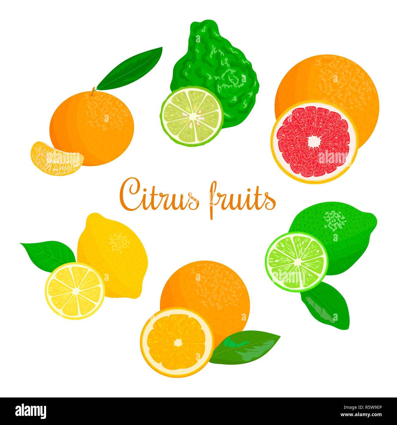 Agrumi freschi set. arancio, limone, calce, bergamotto, mandarino e pompelmo con foglie e fette Foto Stock