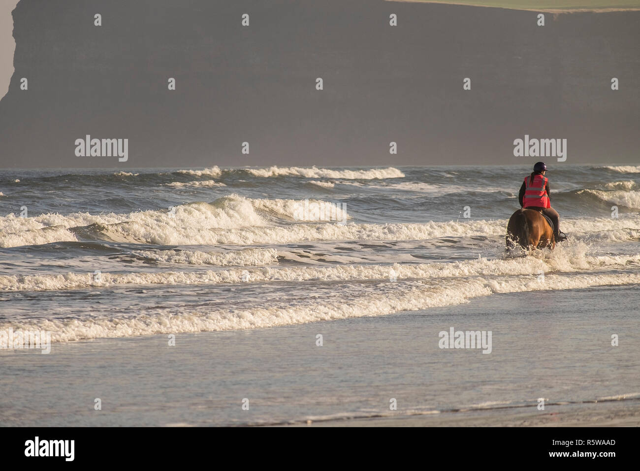 Per cavallo e cavaliere nel mare del Nord a Saltburn, Regno Unito Foto Stock