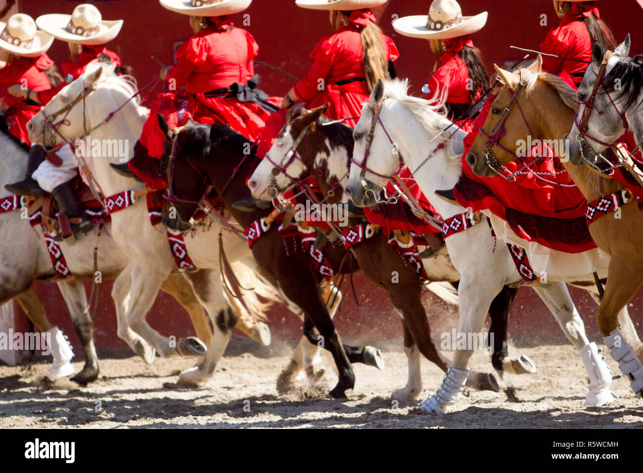 Gruppo di escaramuza messicano ragazze con rosso abiti messicano e sombrero cavalcata cavallo su un rodeo Foto Stock