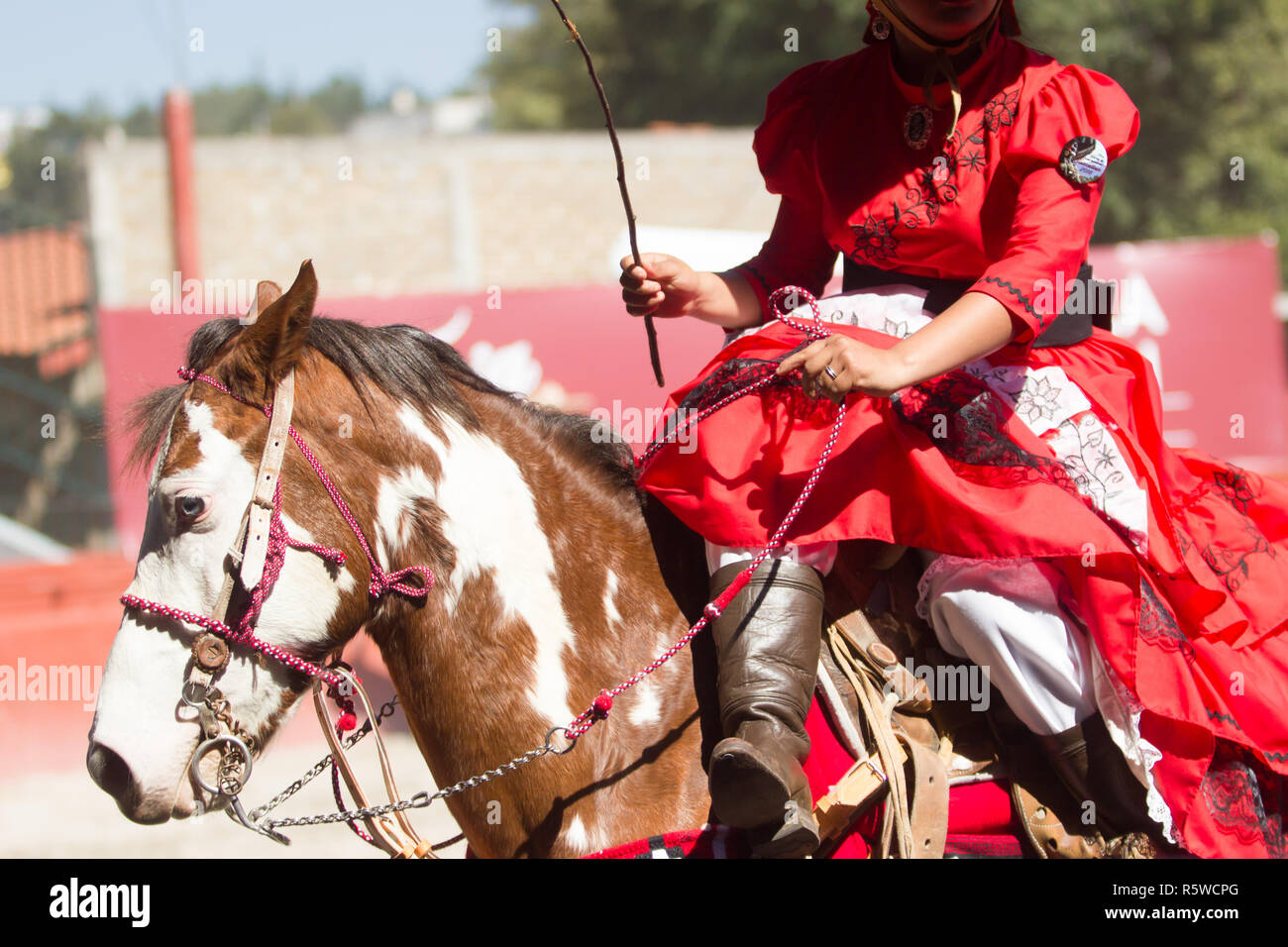 Un messicano escaramuza con abito rosso in sella ad un cavallo marrone Foto Stock