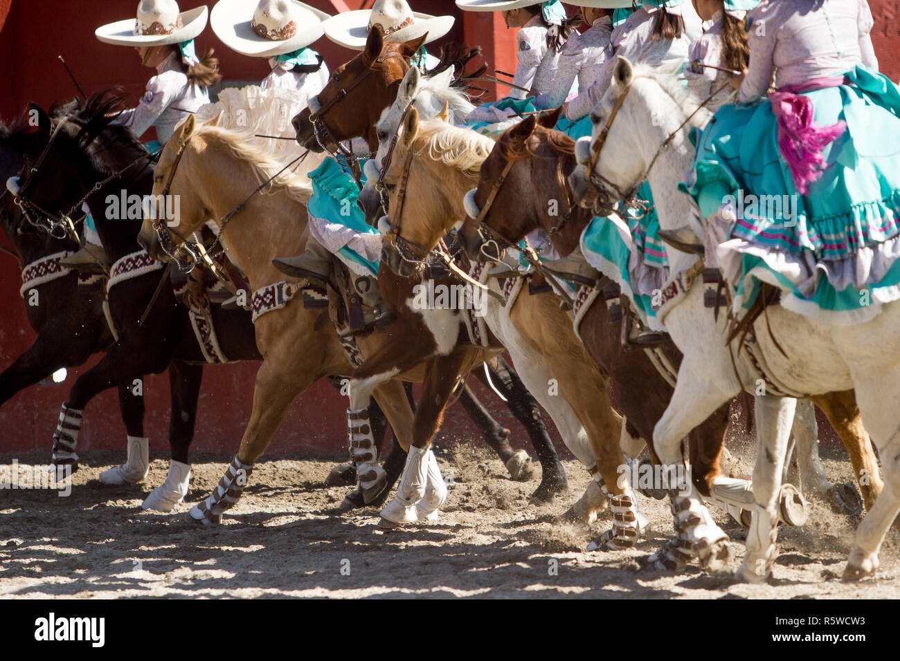 Gruppo di messicani ragazze escaramuza messicano con abiti e sombrero a cavallo in una formazione di linea Foto Stock