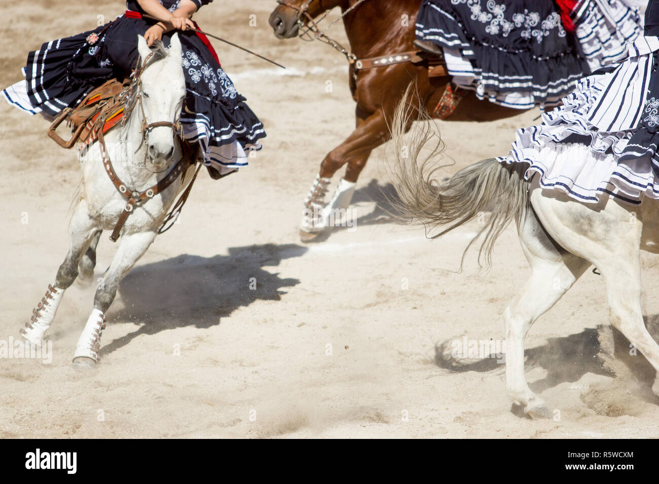 Gruppo di escaramuza messicano esegue uno stun sul cavallo in un rodeo Foto Stock