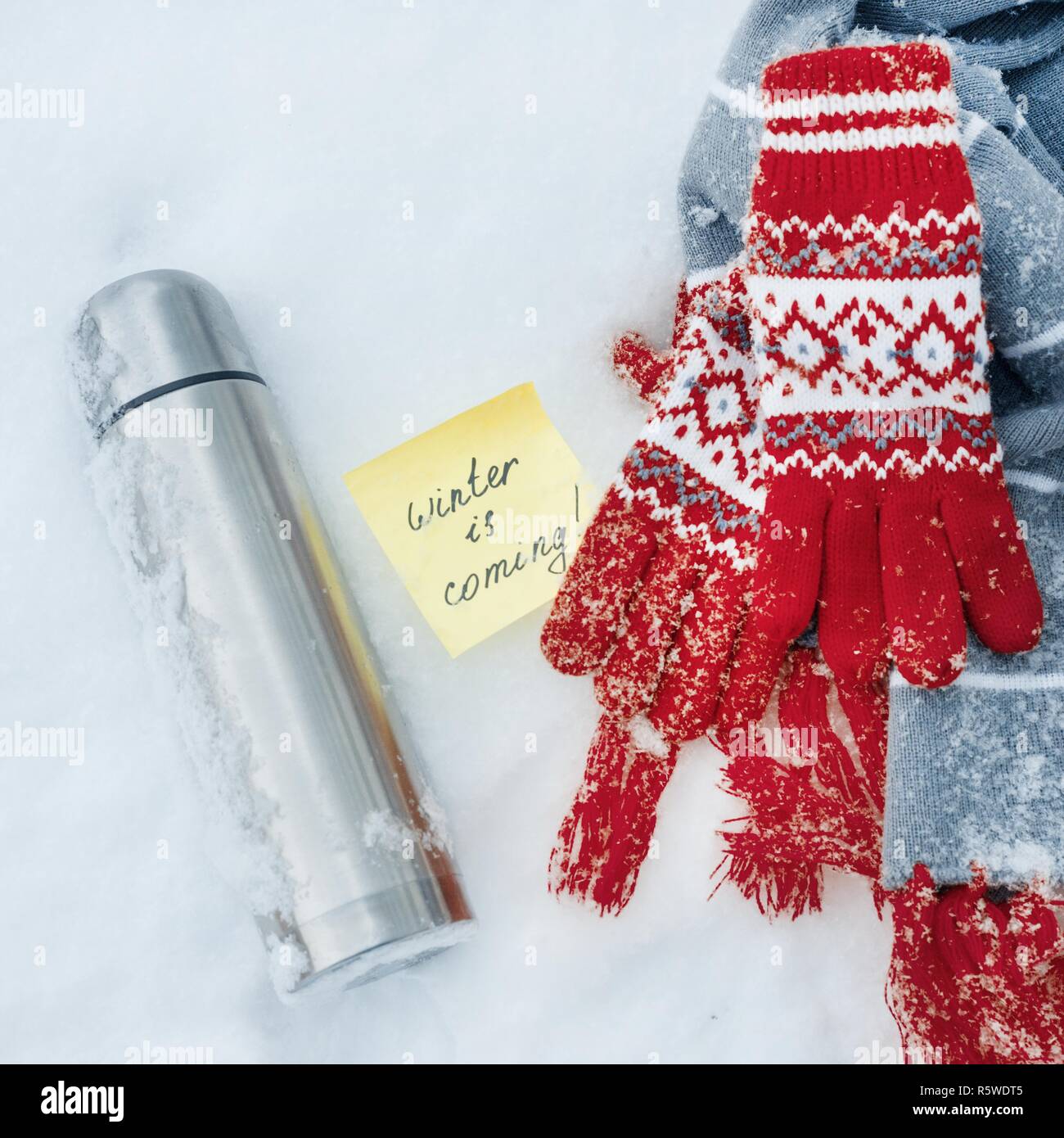 L'inverno è venuta, testo sull'etichetta. Sfondo Inverno - nella neve una sciarpa, guanti, thermos Foto Stock