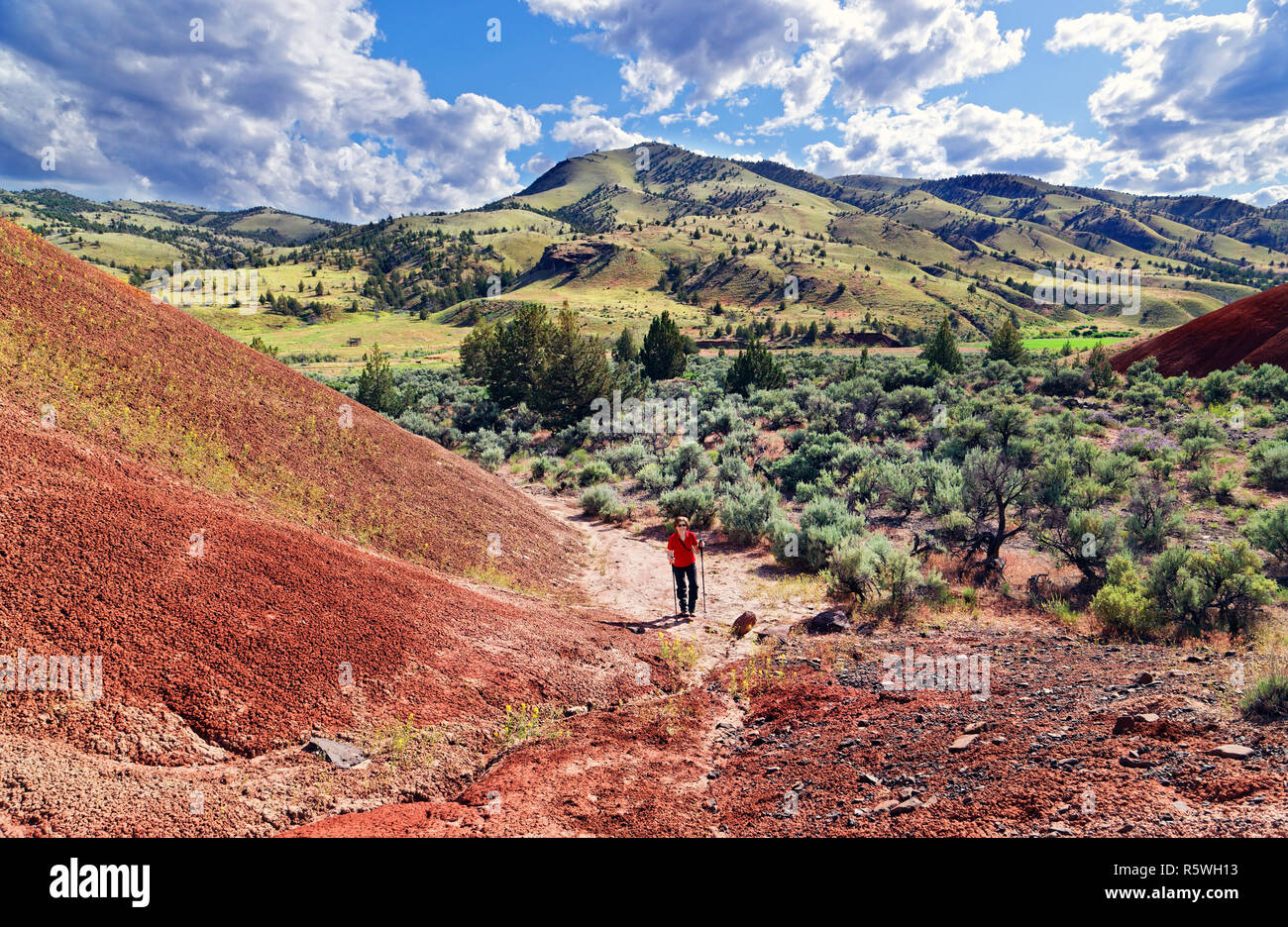 42,887.03094 paesaggio secco, donna nel suo 70s escursionismo un sentiero nella laminazione di sabbia rossa & sagebrush colline con alberi di ginepro in zone aride Oregon alta deser Foto Stock