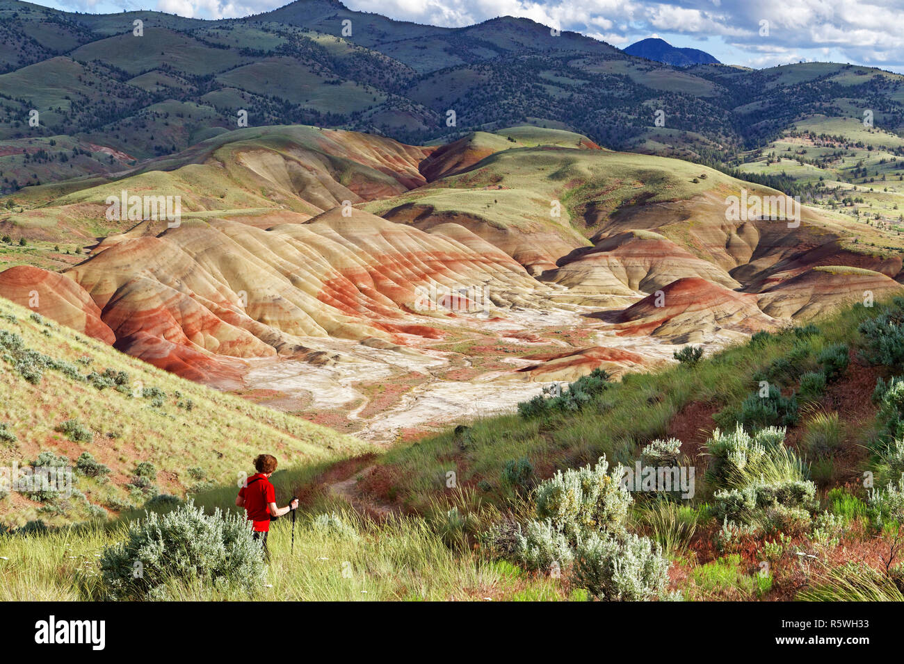 42,887.03109 donna nella sua 70s escursionismo un sentiero nella laminazione di sabbia rossa dipinta sagebrush colline paesaggio secco, Ginepro alberi in zone aride Oregon high desert Foto Stock