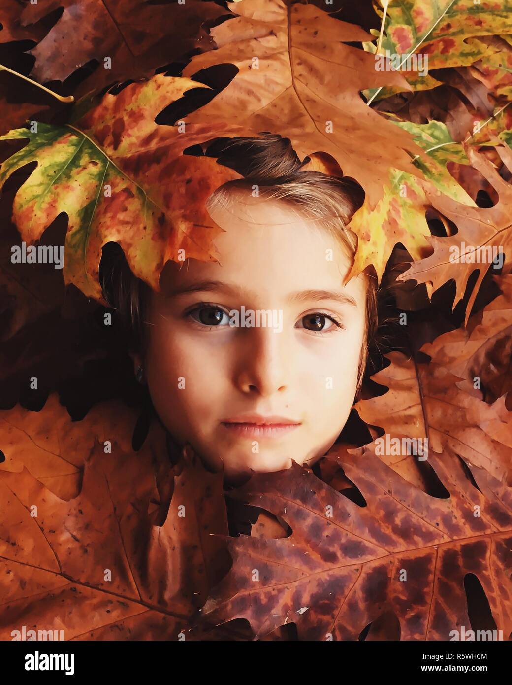 Ritratto di una bambina sepolta in foglie di autunno Foto Stock