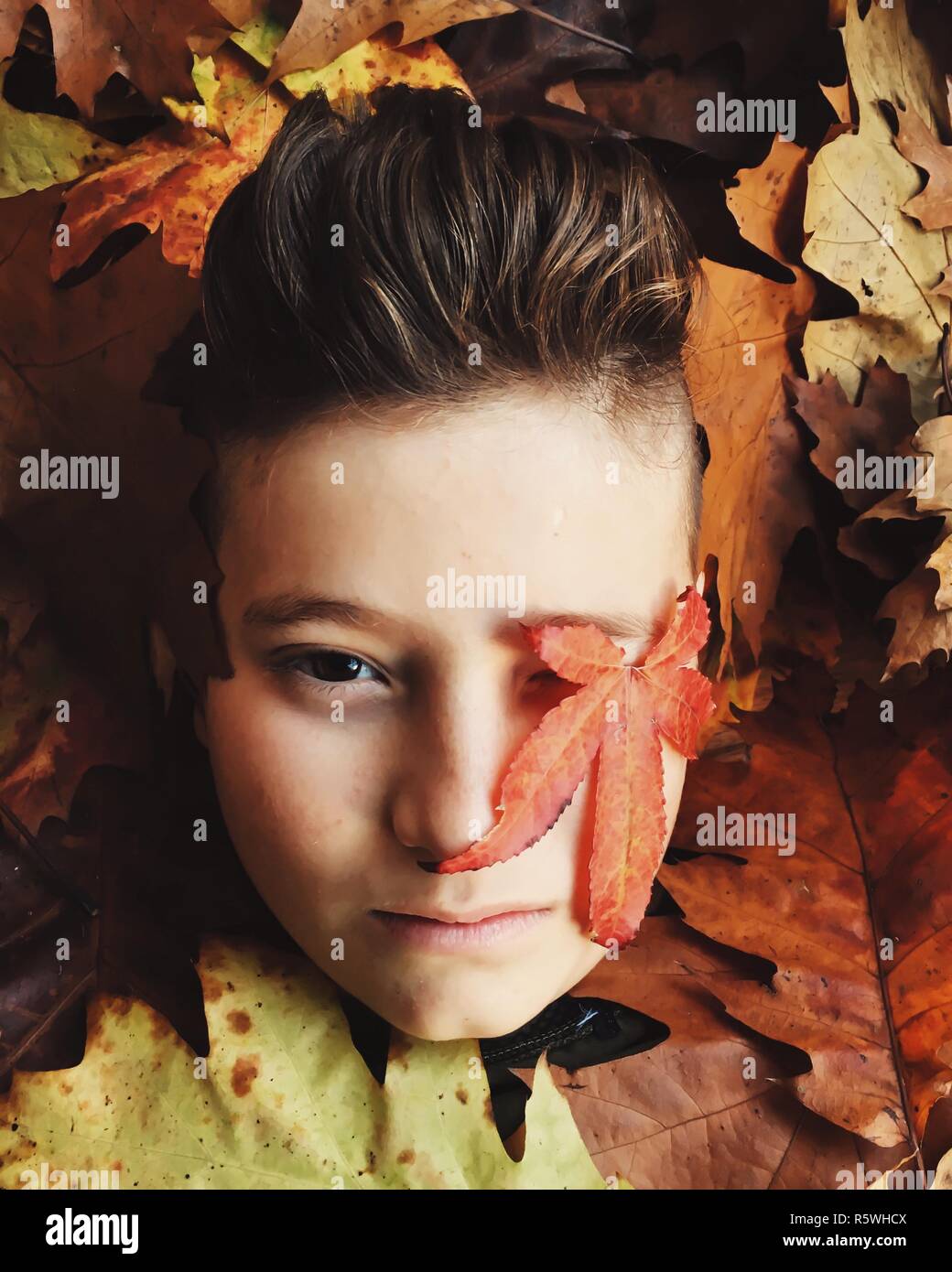 Ritratto di un ragazzo sepolto in foglie di autunno Foto Stock
