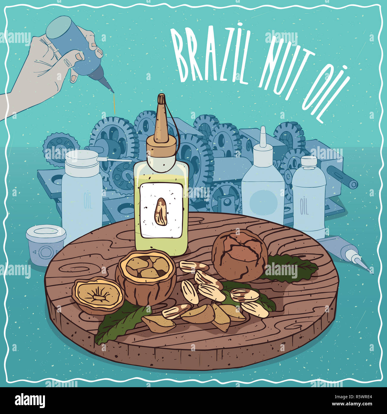 Il dado del Brasile olio utilizzato come lubrificante Foto Stock