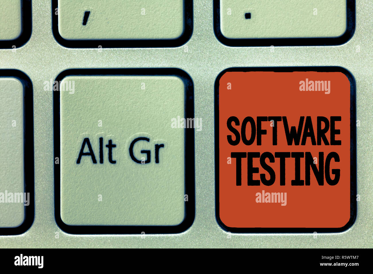Parola di scrittura di testo Test del Software. Il concetto di business per le indagini forniscono informazioni circa la qualità di essa. Foto Stock