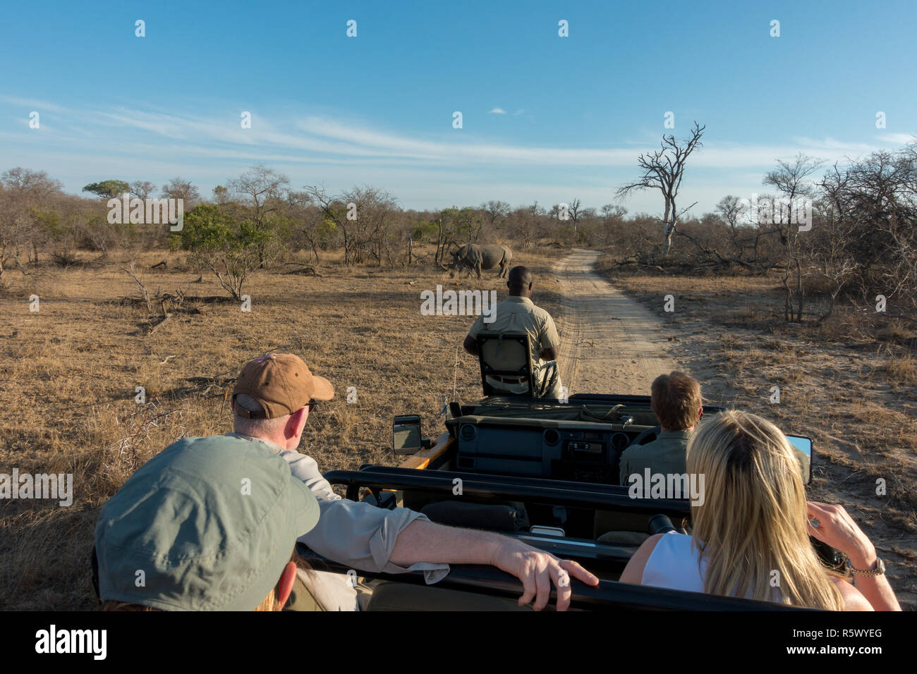 I turisti, ranger e tracker guardando un rinoceronte bianco nel grande Parco Nazionale Kruger da una jeep, Sud Africa Foto Stock