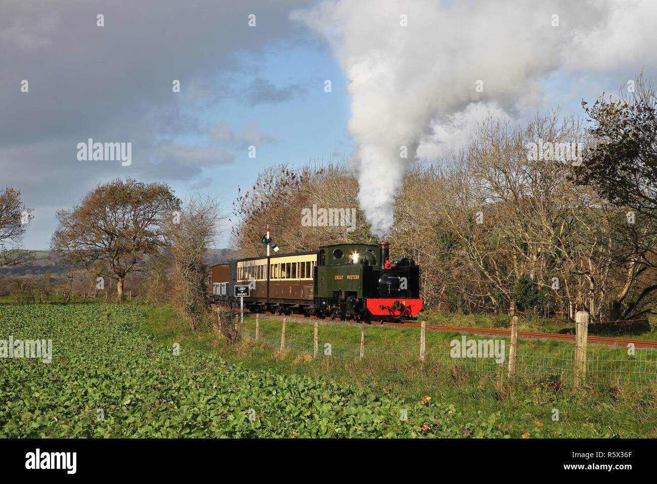 N. 8 teste lungo la valle di Rheidol ferrovia a Capel Bangor. Foto Stock