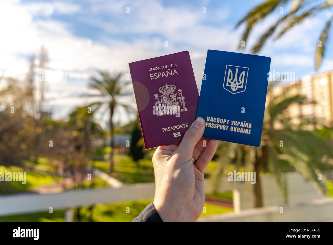 Giovane donna tenendo entrambi spagnoli e ucraino passaporti di viaggio. Big Palm tree sullo sfondo. Blue skyes. La doppia cittadinanza. Il matrimonio. Foto Stock