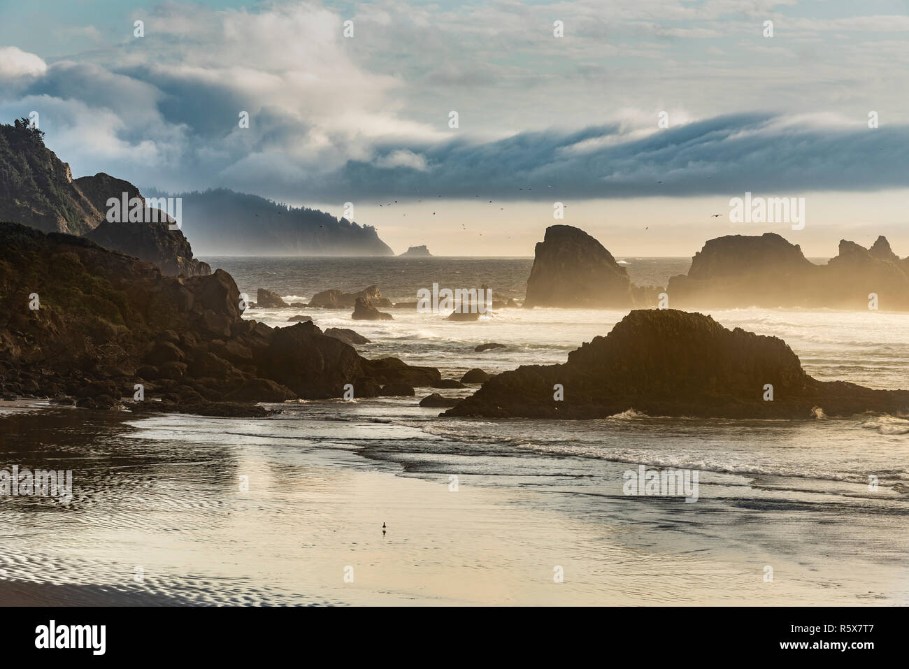Indian Beach, sera, Ecola state park, la caduta o, USA, da Dominique Braud/Dembinsky Foto Assoc Foto Stock