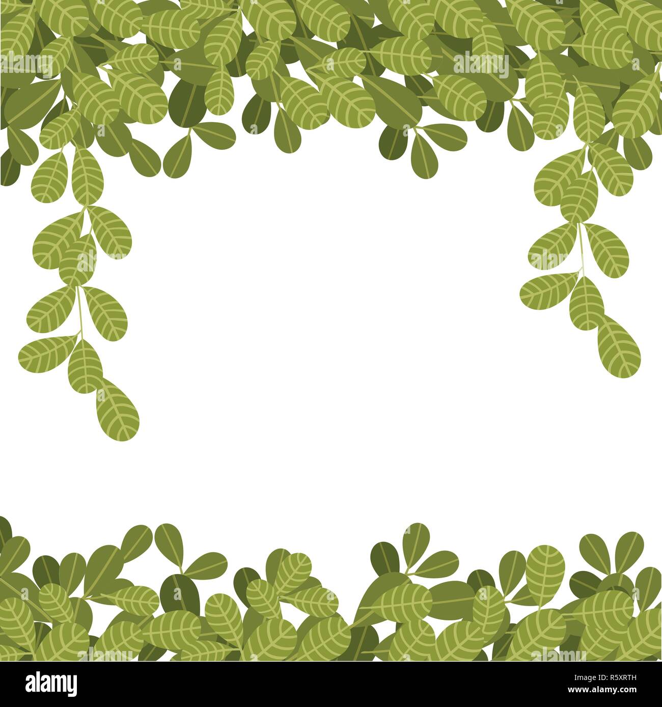 Appendere vitigni di arrampicata con foglie verdi. Foglie piatte a penzoloni. Motivo floreale. Illustrazione Vettoriale su sfondo bianco. Illustrazione Vettoriale