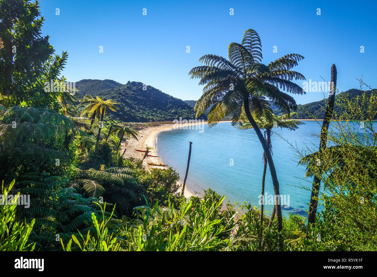 Parco Nazionale di Abel Tasman, Nuova Zelanda Foto Stock