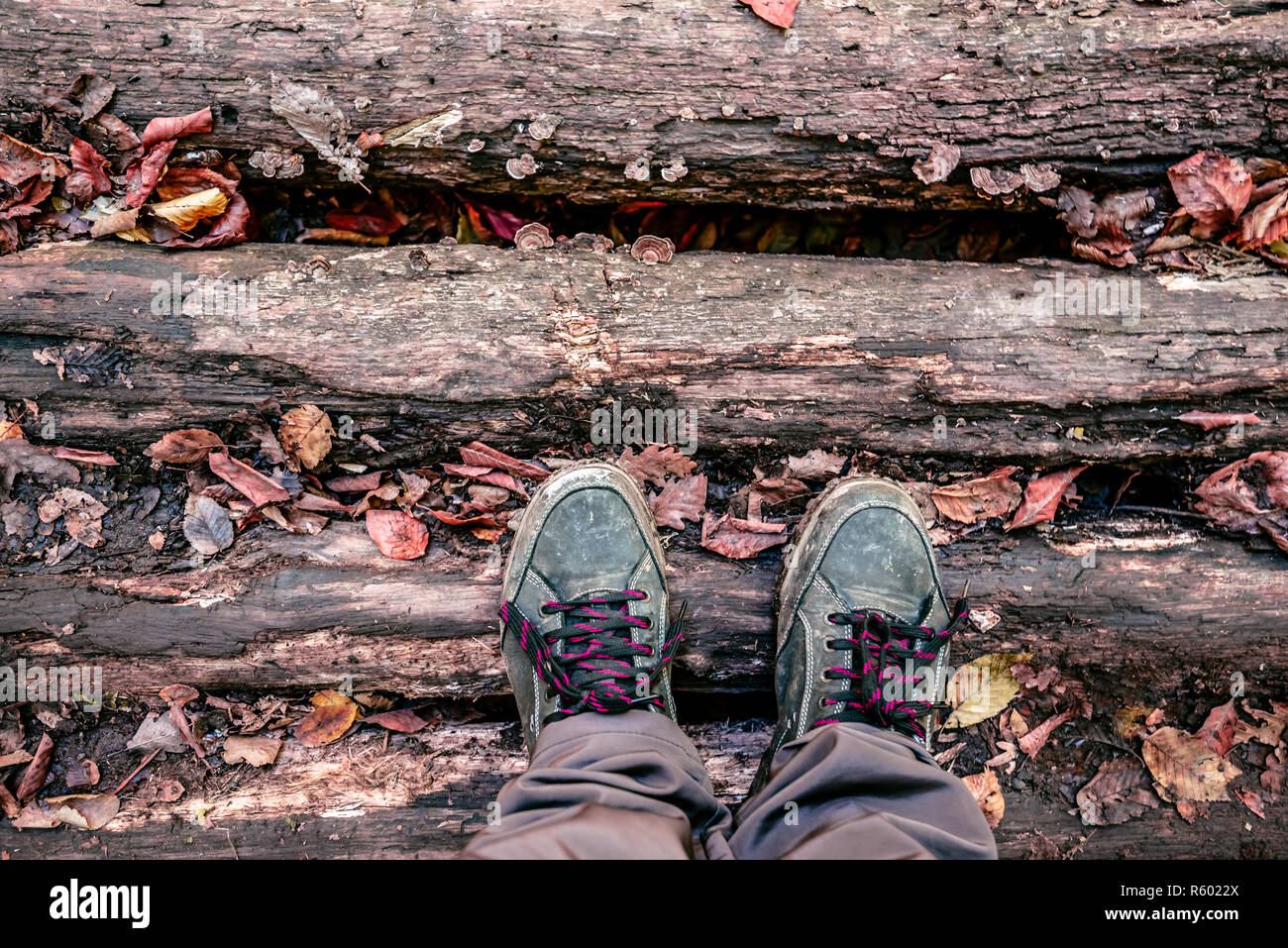 Vista superiore del tracking scarpe sui registri di marcio strada coperta con il rosso e il giallo caduta foglie in autunno parco,spazio copia Foto Stock