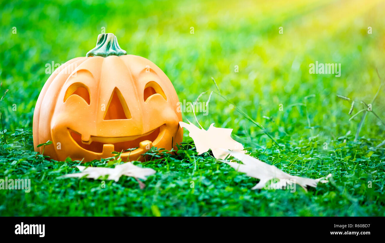 Zucca di Halloween Foto Stock