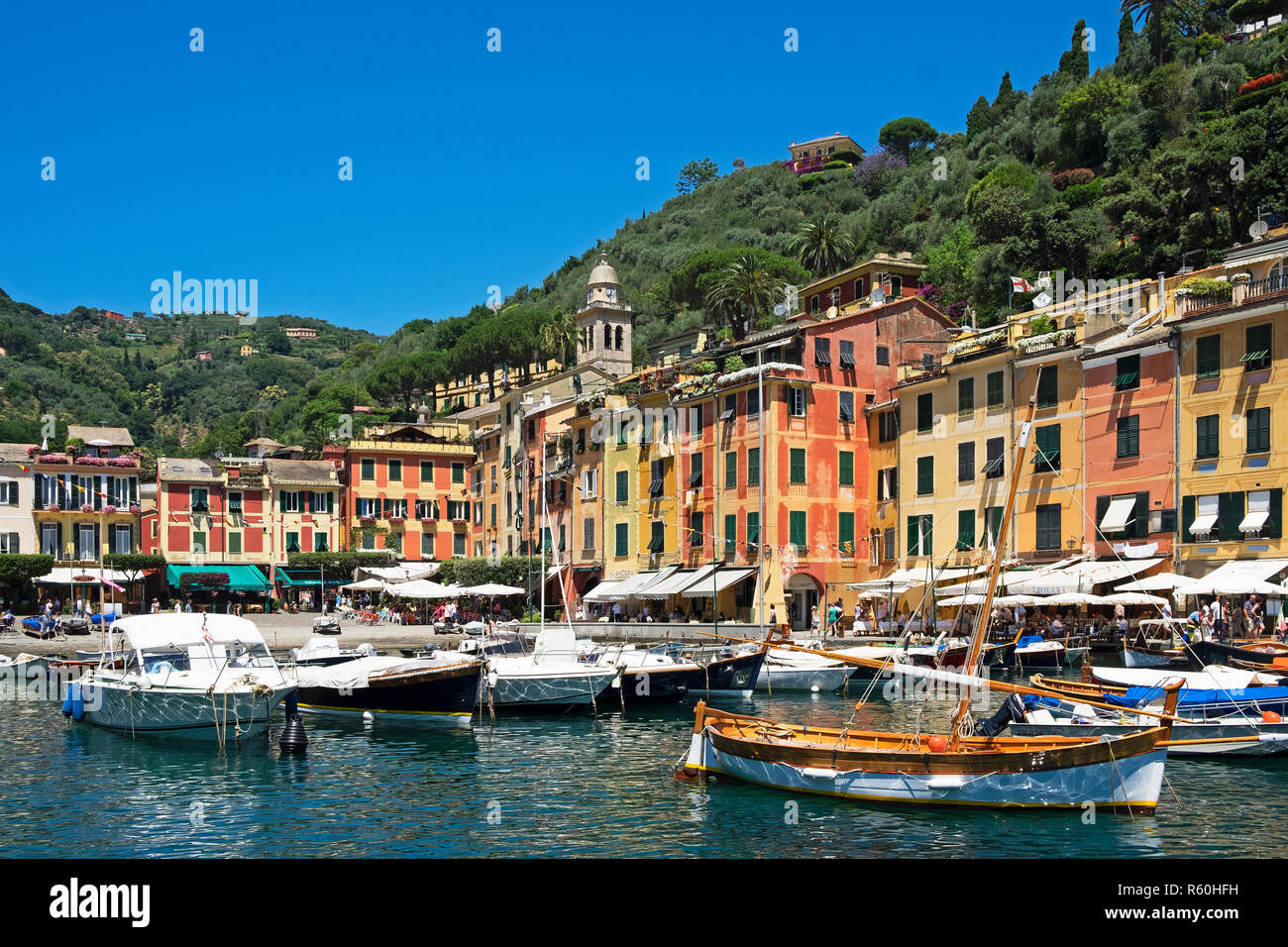 Barche porto colorati, Portofino Riviera italiana e la provincia di Genova, liguri, Italia. Foto Stock