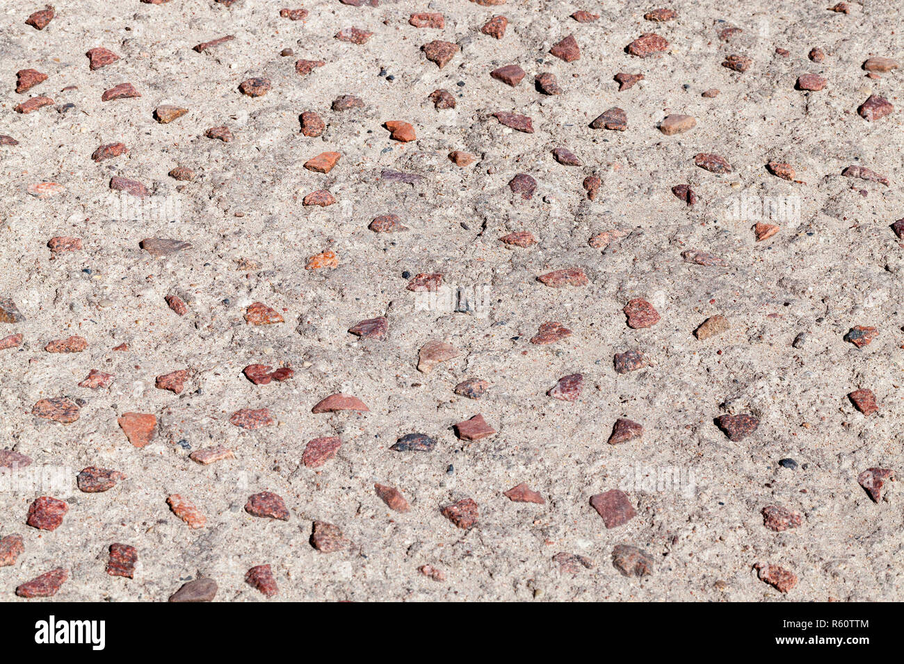 Coperte di neve alberi Foto Stock