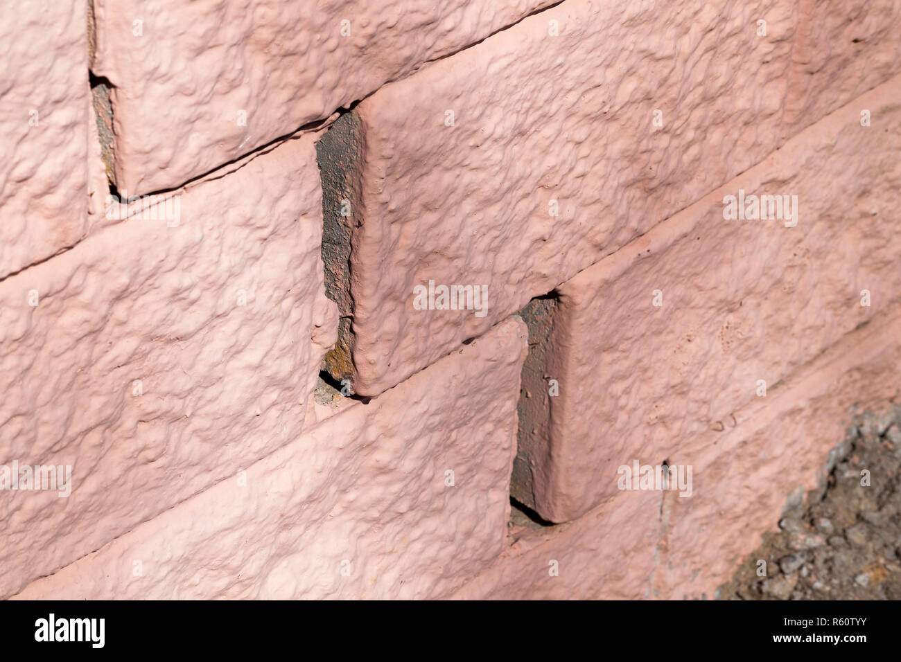 Coperte di neve alberi Foto Stock