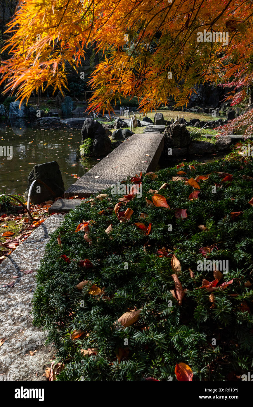 Yasukuni Shinchi Teien stagno sacro giardino - Questo caminare garden è stato creato nei primi epoca Meiji. Il suo elemento centrale è una piccola cascata che si trova a i Foto Stock