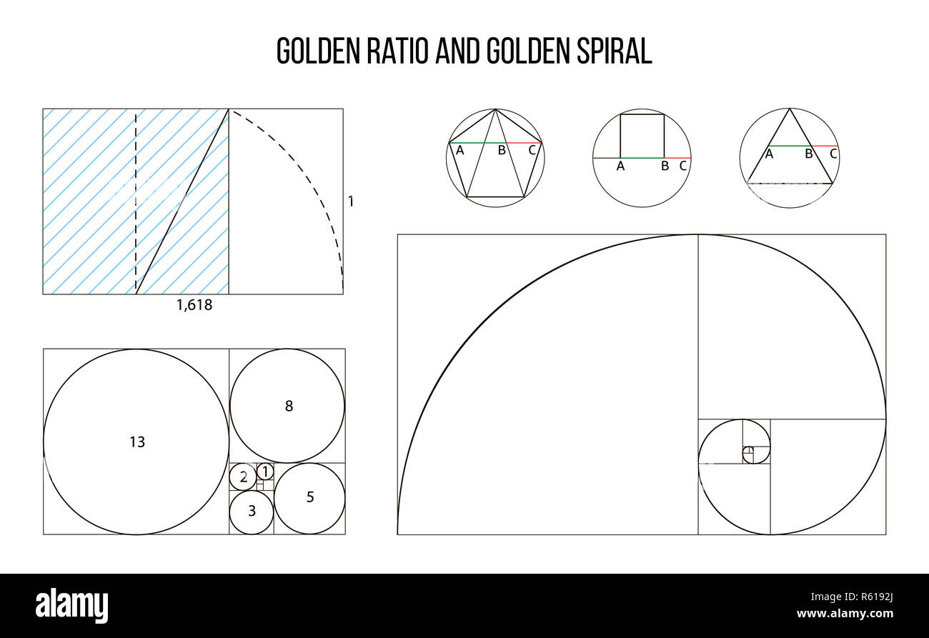 Golden modello rapporto vettore, proporzioni divine, Golden proporzione Foto Stock