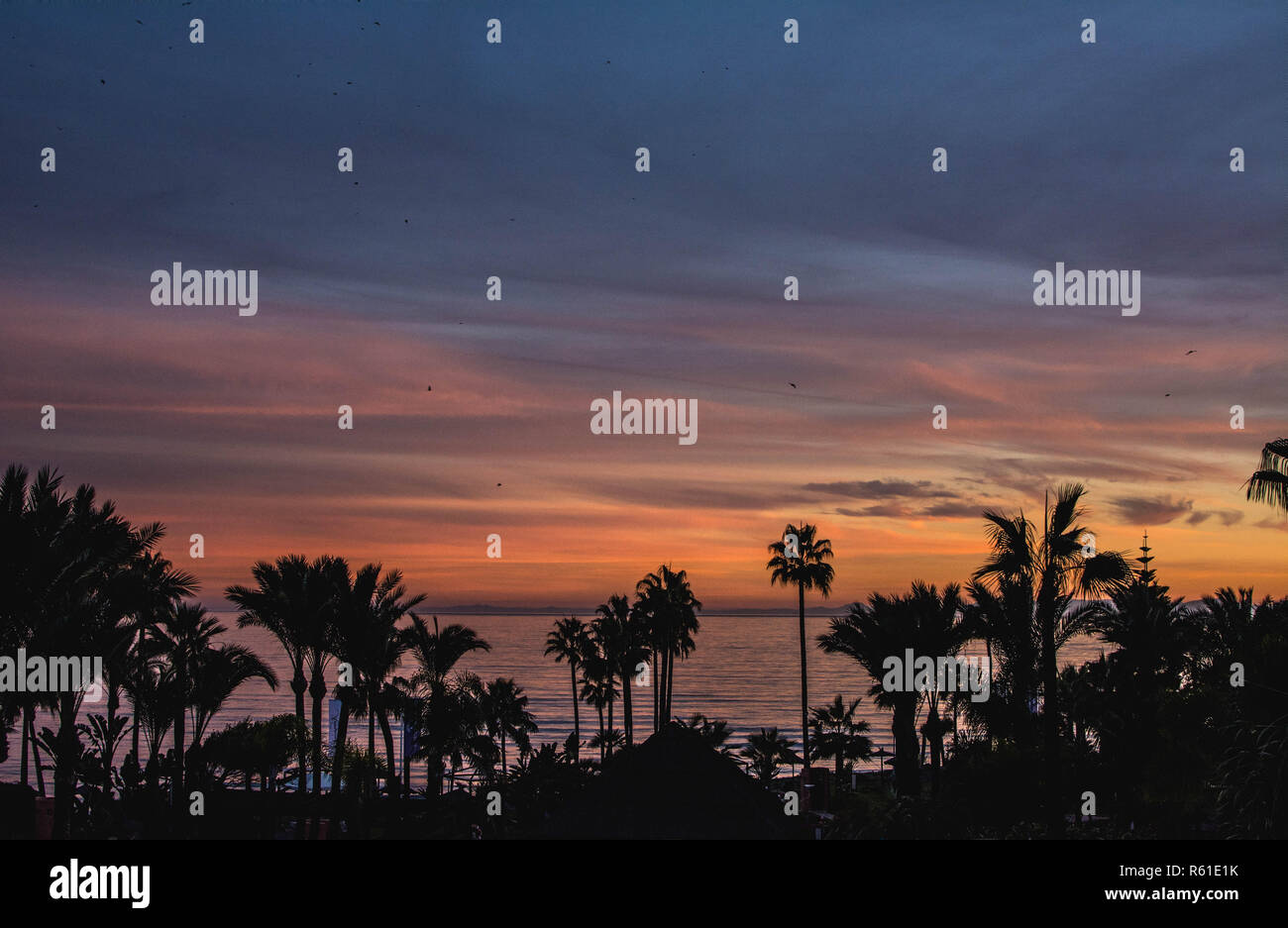 Vista panoramica del mare Mediterraneo sopra le corone di palme. Estepona. Costa del Sol. Andalusia. Spagna. Foto Stock