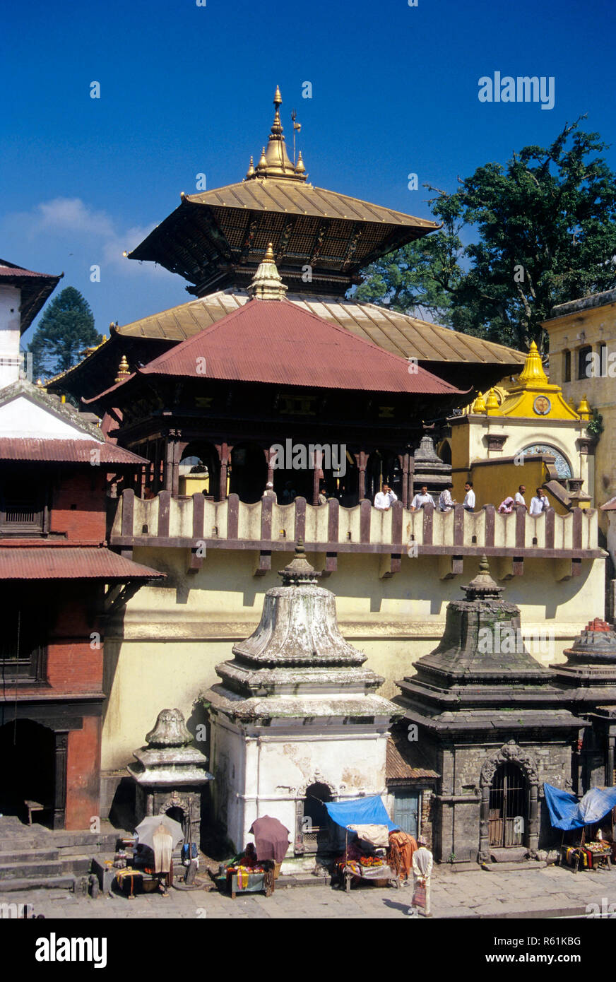 Pashupatinath tempio indù, Kathmandu, Nepal Foto Stock