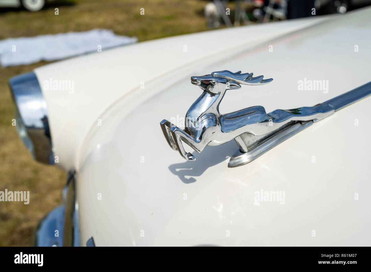 PAAREN IM GLIEN, Germania - 19 Maggio 2018: ornamento del cofano (esecuzione di cervi) dell esecutivo auto GAZ M21 Volga, 1965. Die Oldtimer Show 2018. Foto Stock