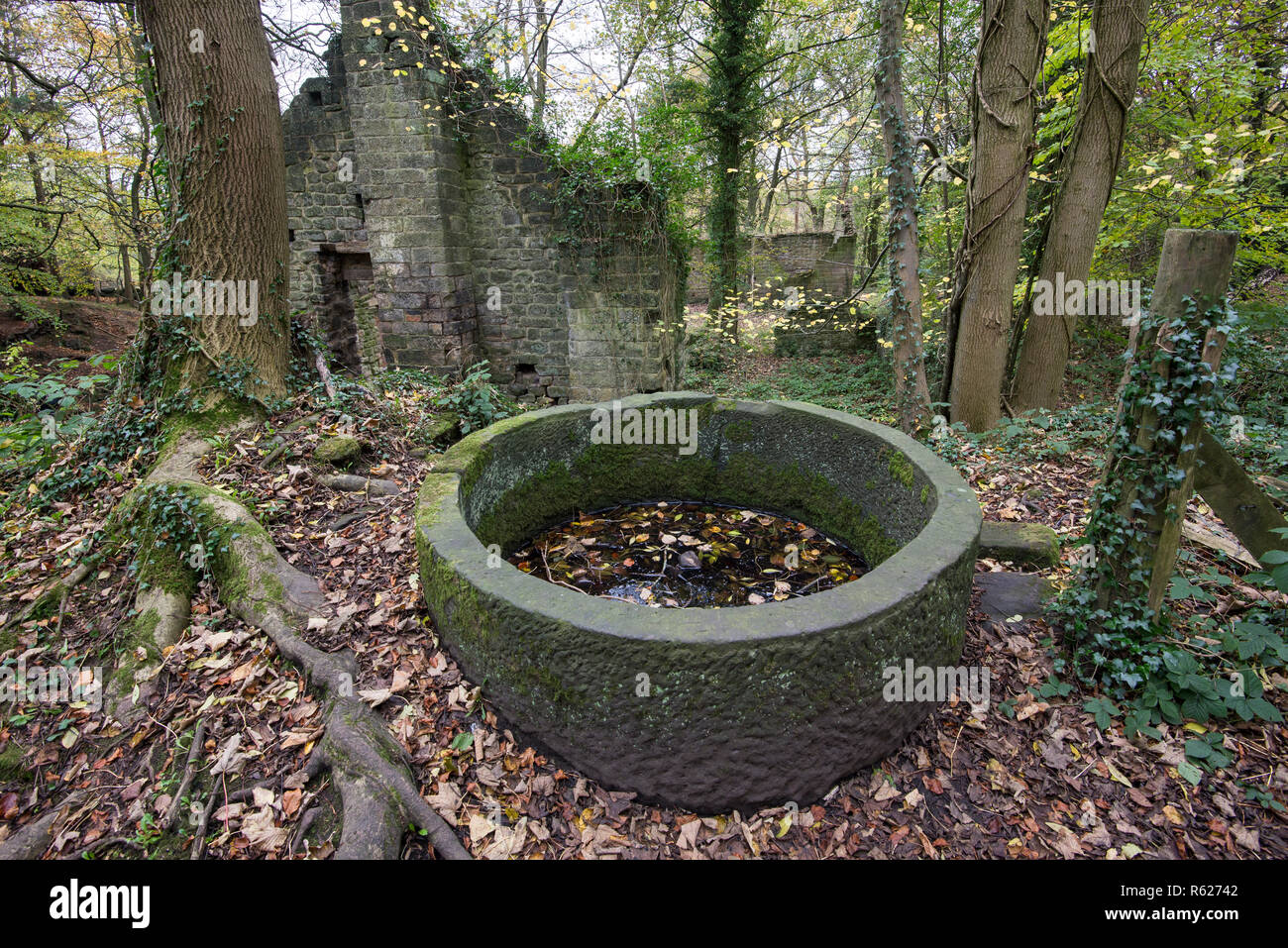 Rovine di vecchi mulini della valle Lumsdale un'area del patrimonio industriale vicino a Matlock, Derbyshire, in Inghilterra. Foto Stock