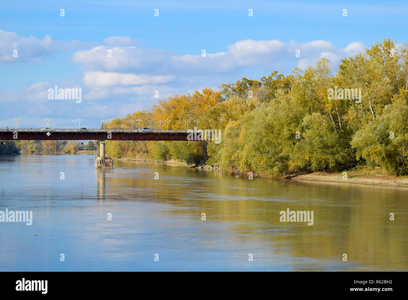 Ponte sul fiume. Foglie di autunno sui pioppi lungo la riva del fiume. Foto Stock