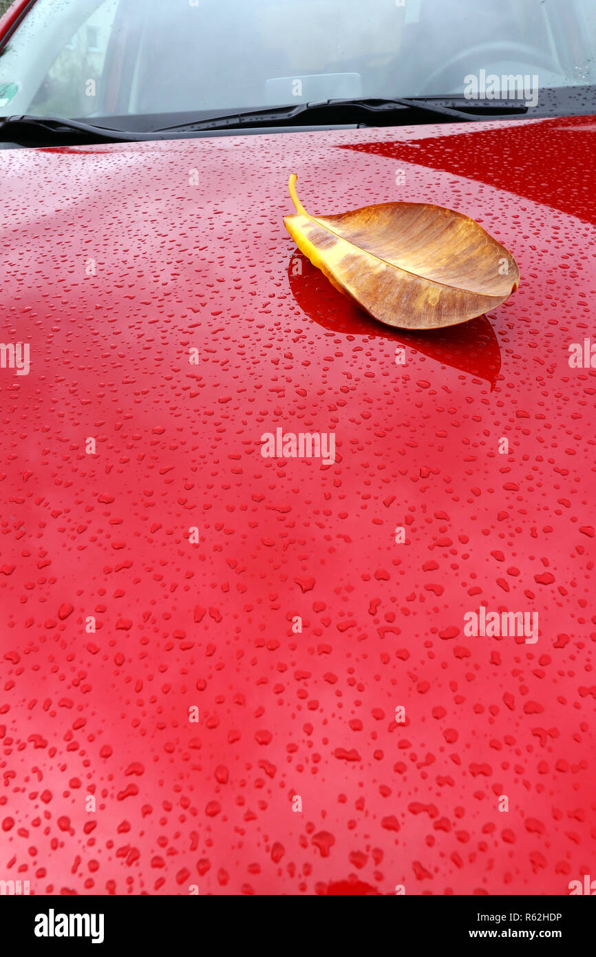 L'autunno e la pioggia nel traffico. Un autumn leaf su una vettura ad umido Foto Stock