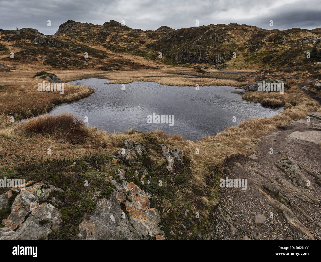 Piccolo lago tra montagne coperte di piante avvizzite. In autunno il muschio e serenità scena forma Ulriken mountain, Norvegia Foto Stock