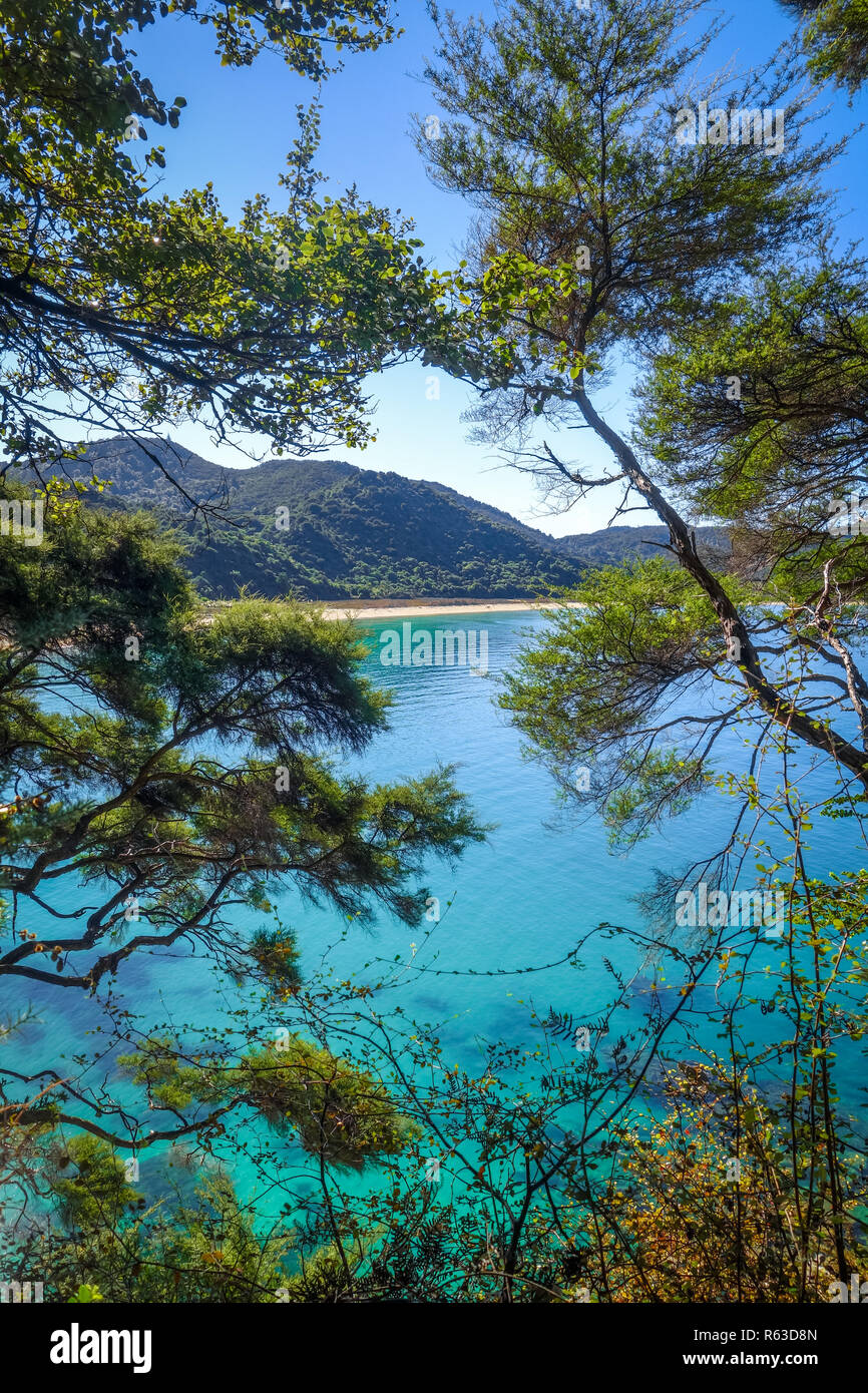 Visualizzazione traccia nel Parco Nazionale Abel Tasman, Nuova Zelanda Foto Stock