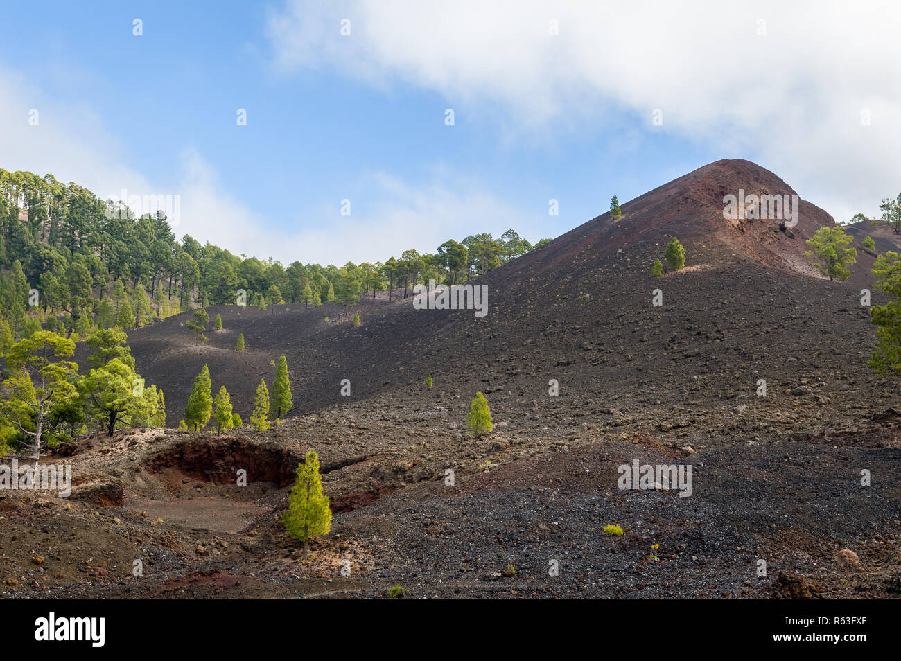 Chinyero percorso escursionistico start. Parco Nazionale del Teide, Tenerife. Foto Stock